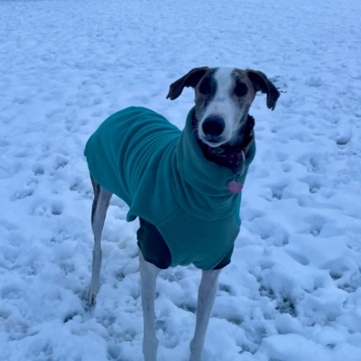 PHOTO-2026-01-08-17-24-55 4