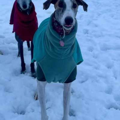 PHOTO-2026-01-08-17-24-55