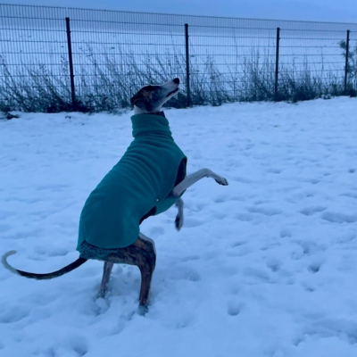 PHOTO-2026-01-08-17-24-55 5