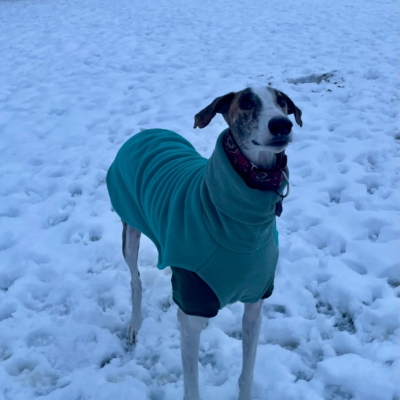 PHOTO-2026-01-08-17-24-55 6