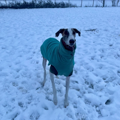 PHOTO-2026-01-08-17-24-55 7