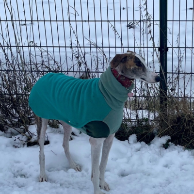 PHOTO-2026-01-08-17-24-55 8