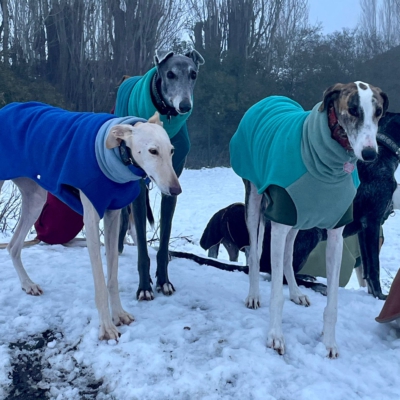 PHOTO-2026-01-08-17-24-55 9