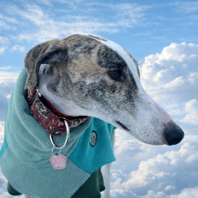 PHOTO-2026-01-08-17-33-36