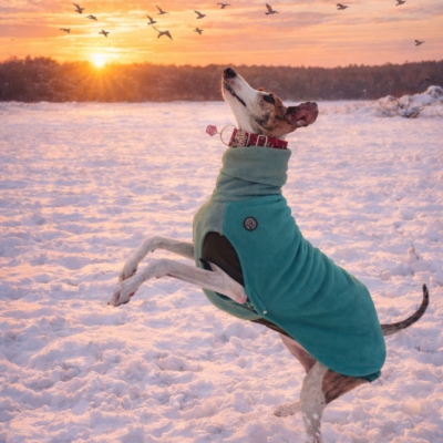 PHOTO-2026-01-08-17-49-24