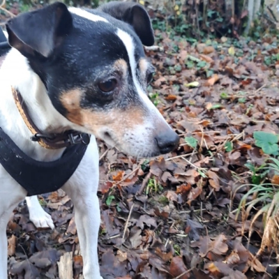 PHOTO-2026-01-09-08-59-58 11