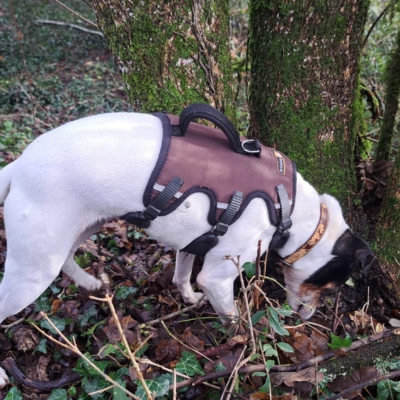 PHOTO-2026-01-09-08-59-58 2