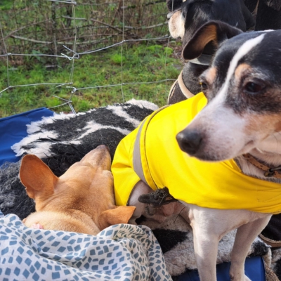 PHOTO-2026-01-09-08-59-58 3