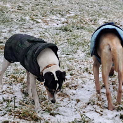 PHOTO-2026-01-09-08-59-58 4