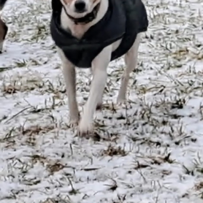 PHOTO-2026-01-09-08-59-58