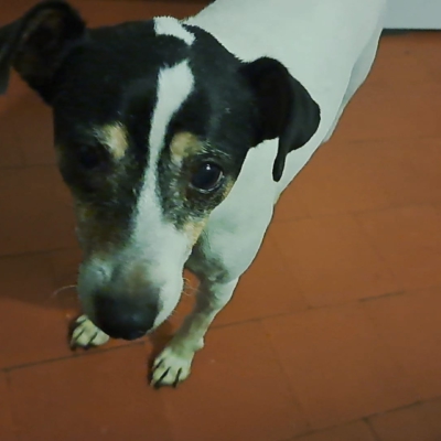 PHOTO-2026-01-09-08-59-58 5