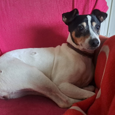 PHOTO-2026-01-09-08-59-58 6