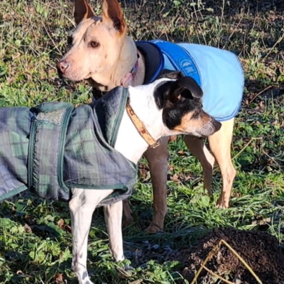 PHOTO-2026-01-09-08-59-58 7