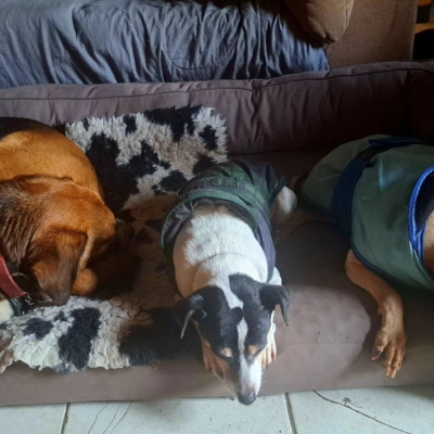 PHOTO-2026-01-09-08-59-58 8