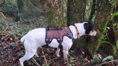 PHOTO-2026-01-09-08-59-58 9