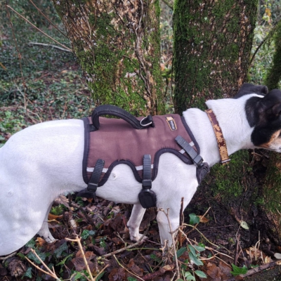 PHOTO-2026-01-09-08-59-58 9