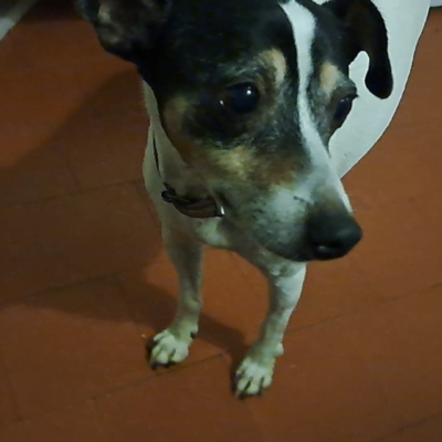 PHOTO-2026-01-09-08-59-59 2