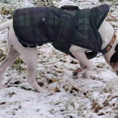 PHOTO-2026-01-09-08-59-59