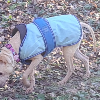 PHOTO-2026-01-10-08-20-23