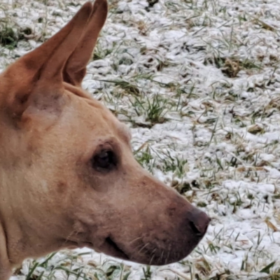 PHOTO-2026-01-10-08-20-24 2