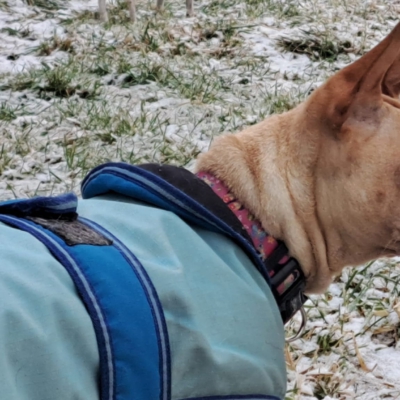 PHOTO-2026-01-10-08-20-24 4