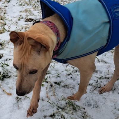 PHOTO-2026-01-10-08-20-24