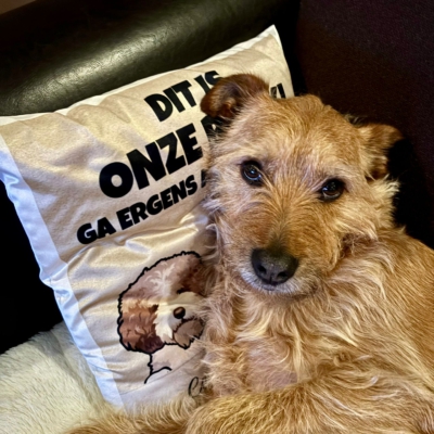 PHOTO-2026-01-11-19-43-34 2