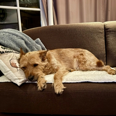 PHOTO-2026-01-11-19-43-34