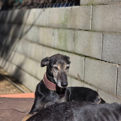 PHOTO-2026-01-17-16-12-29 2