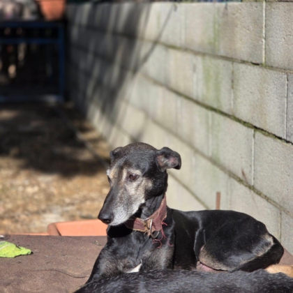 PHOTO-2026-01-17-16-12-29 3