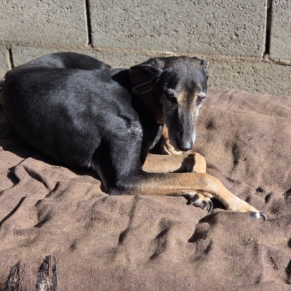 PHOTO-2026-01-17-16-12-29 4