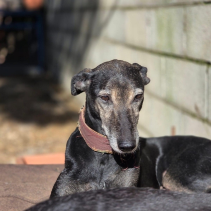 PHOTO-2026-01-17-16-12-29