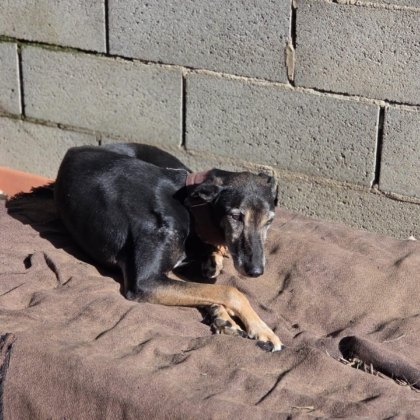 PHOTO-2026-01-17-16-12-29 5