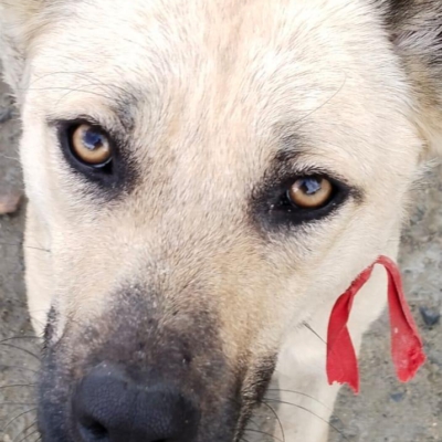 PHOTO-2026-01-17-16-13-56 2