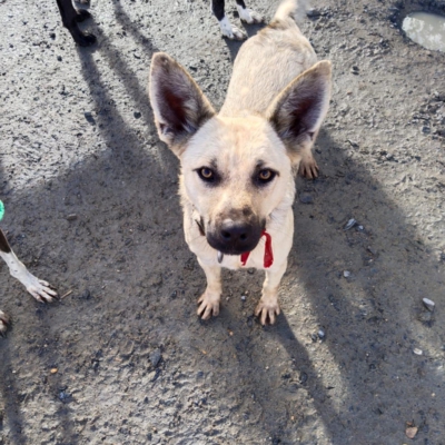 PHOTO-2026-01-17-16-13-56