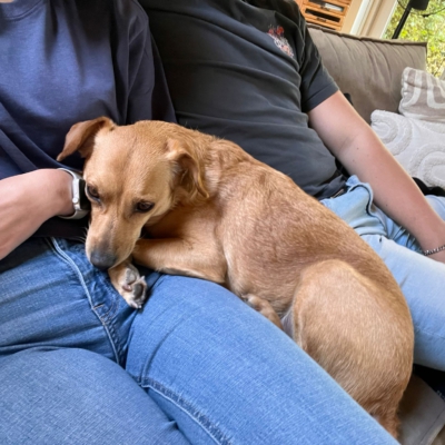 PHOTO-2026-01-21-16-17-35