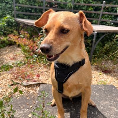 PHOTO-2026-01-21-16-18-08 10