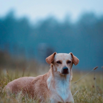 PHOTO-2026-01-21-16-18-08 2