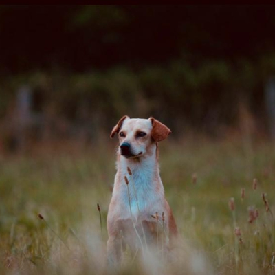 PHOTO-2026-01-21-16-18-08 3