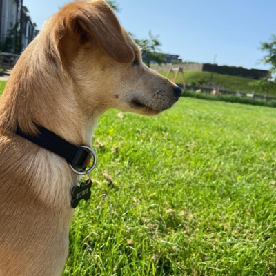 PHOTO-2026-01-21-16-18-08 4