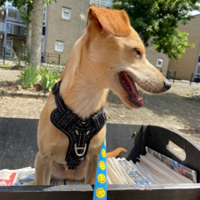 PHOTO-2026-01-21-16-18-08