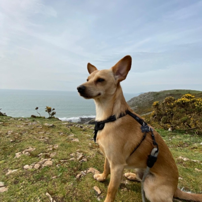 PHOTO-2026-01-21-16-18-08 5