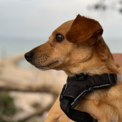 PHOTO-2026-01-21-16-18-08 6