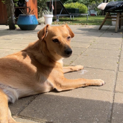 PHOTO-2026-01-21-16-18-08 7