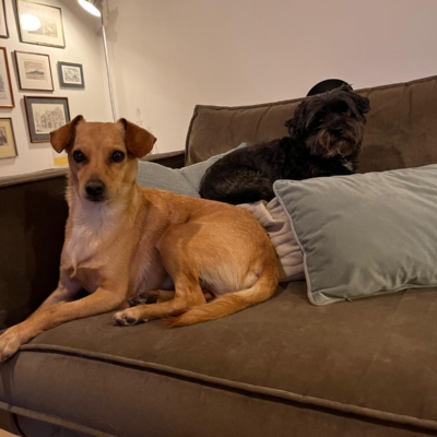 PHOTO-2026-01-21-16-18-08 8