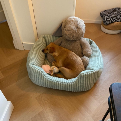 PHOTO-2026-01-21-16-18-08 9