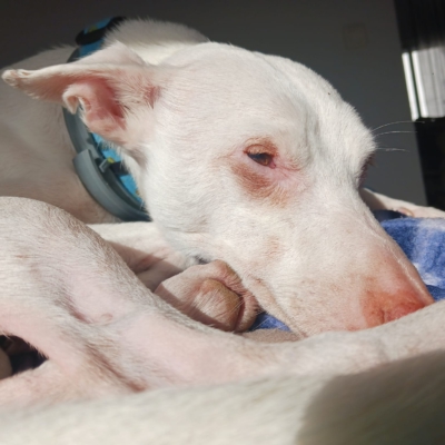 PHOTO-2026-01-21-19-31-50 10