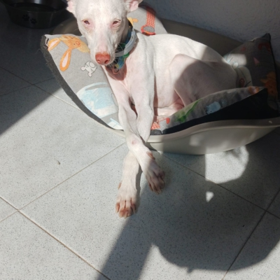 PHOTO-2026-01-21-19-31-50 12