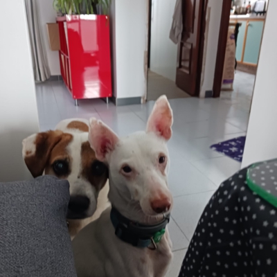 PHOTO-2026-01-21-19-31-50 14