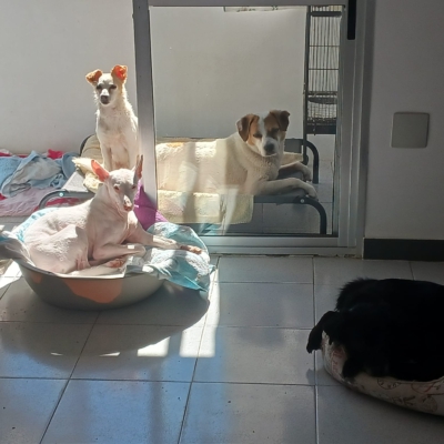 PHOTO-2026-01-21-19-31-50 18